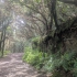 El Bosque de Los Enigmas
