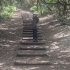 El Bosque de Los Enigmas