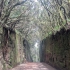 Feentunnel