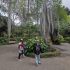 Puerto de la Cruz - Jardín Botánico