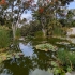 Puerto de la Cruz - Jardín Botánico