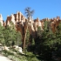 Bryce Canyon - Navajo-Loop