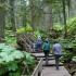 Giant Cedars Nature Trail